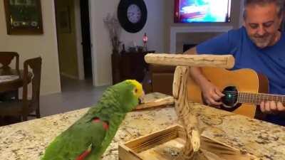 Bts se queda pendejo contra el loro