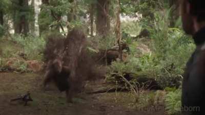 Yes. This ACTUALLY happened.