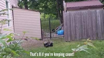 This is the side of my house.