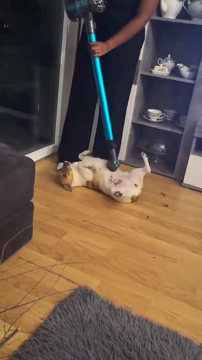 His ass is above rational fears