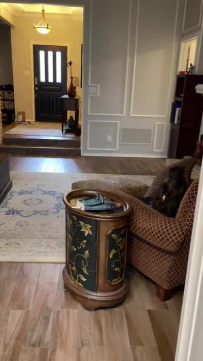 Big boy give a lazy chair awooo