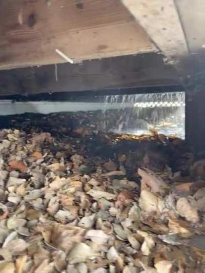 Flippers bought my neighbor's house and forgot to turn the outside water off. It froze and burst.