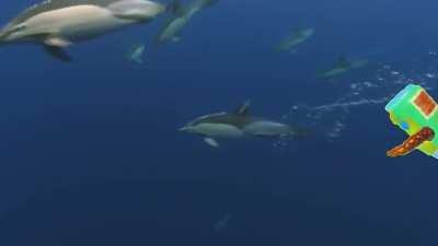 u/NassyMcNasFace in the comments of u/MignishHsingim's post asked for a Shooting Stars edit of this video. Ask and you shall receive.