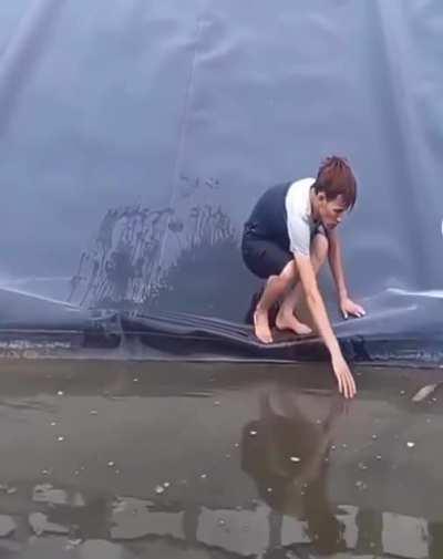 It’s just a small snake...