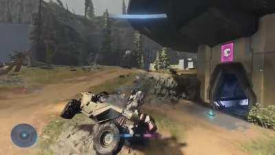 The Halo community experience