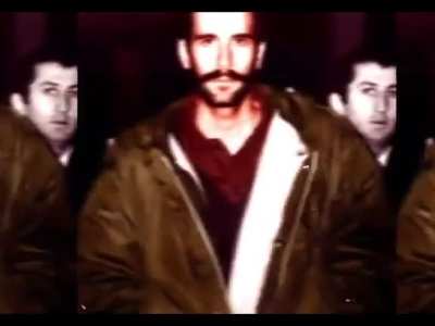 Turkey's finest ever