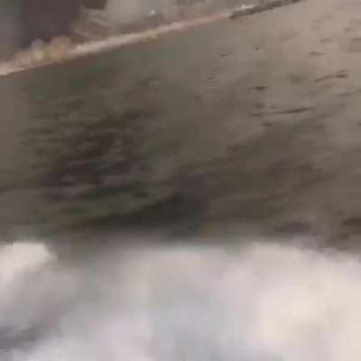 Pog el hijo de Willy se saco su primera Moab