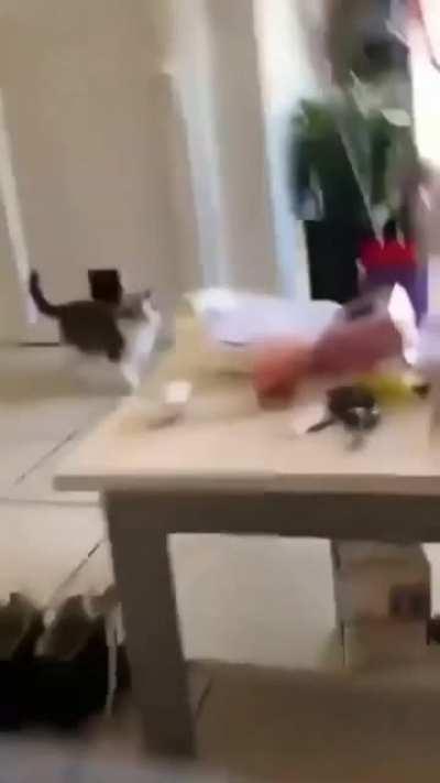 Mom, I got something for you