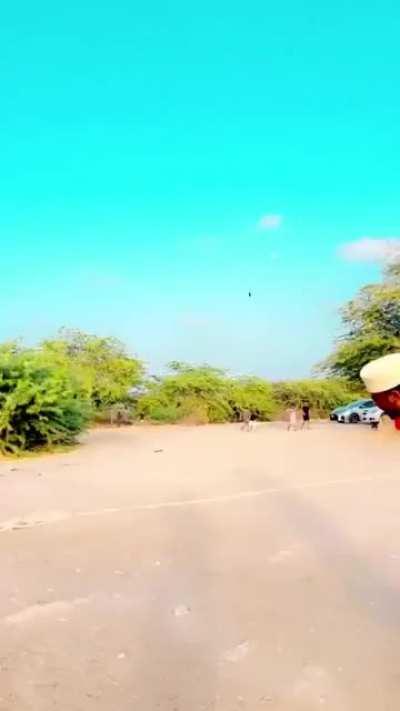 Trying to pull a tree out with a car