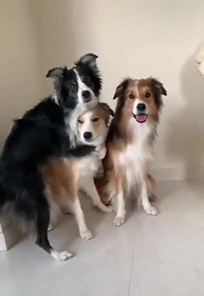 One in this pose.. and this.. and this