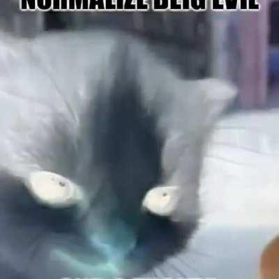 14 year old joker fans be like