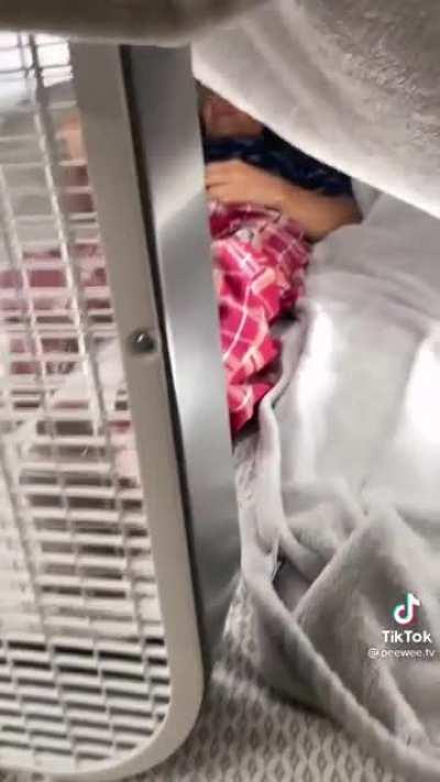 The deadly fart even stinkier than your dads fart