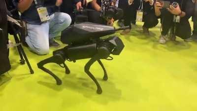 Aand Turkey produced the first killer robot doggo