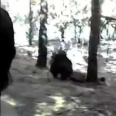 I need more schizo edits