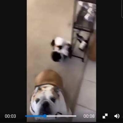 This 2nd phase is ridiculous