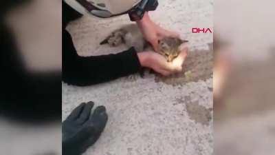 Turkish fireman saves cat stuck between two buildings with heart massage after the feline's heart stopped.