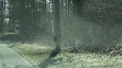 I know this is cute but...