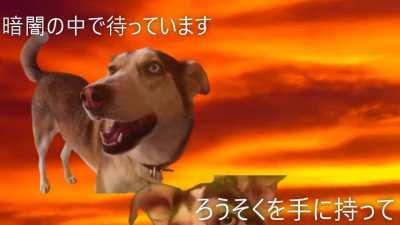 Mert Günhan Anime Opening