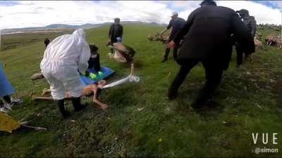 Funeral practice of a Covid deceased patient ,known as sky burial in which a human corpse is placed on a mountaintop to decompose while exposed to the elements or to be eaten by scavenging animals. It is practiced in the Chinese provinces and autonomous r