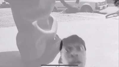 the megaton zombie to me after it pimpslapped me 😩😂