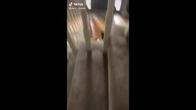 How could she not help? I wouldn't hesitate for a second