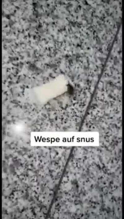 u spin me right round