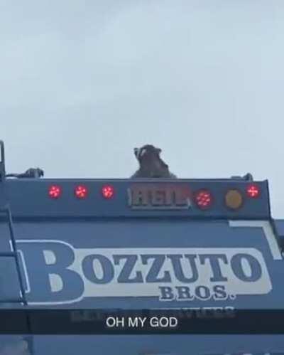 On the way to the promise land