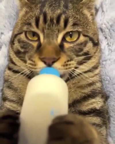 Aren't you a little old for that sir 🤨