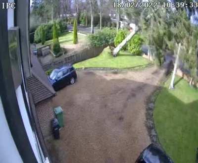 Storm winds just took down this massive tree in my Aunt and Uncle's front garden!