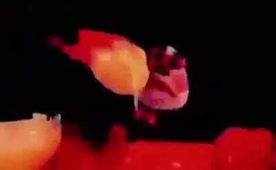 Is This Carti⁉⁉🤔