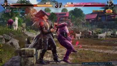 I don't think I've felt this humiliated.