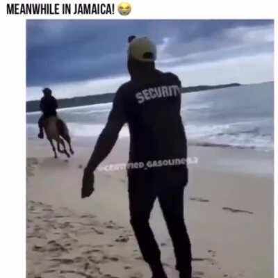 Only in Jamaica 😭😂