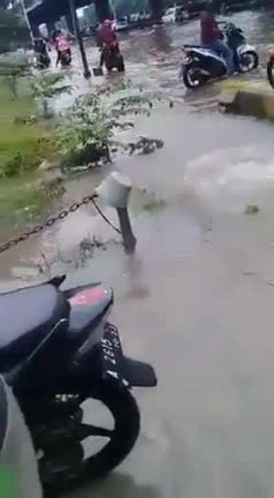 Oops there he goes...