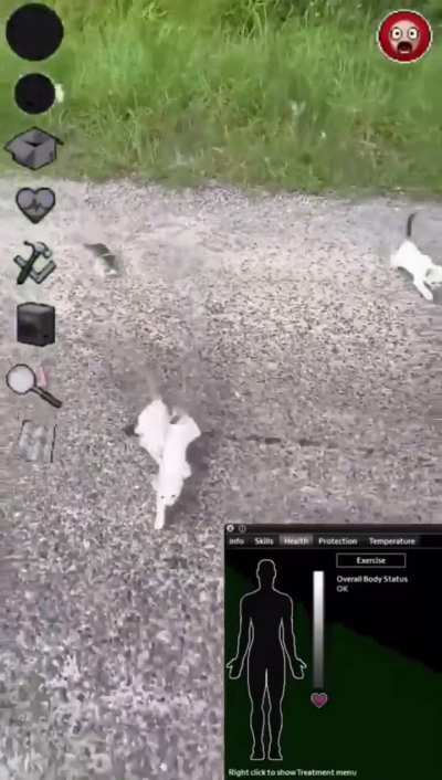 POV: Animals added and you toggled Knox infection affect animals