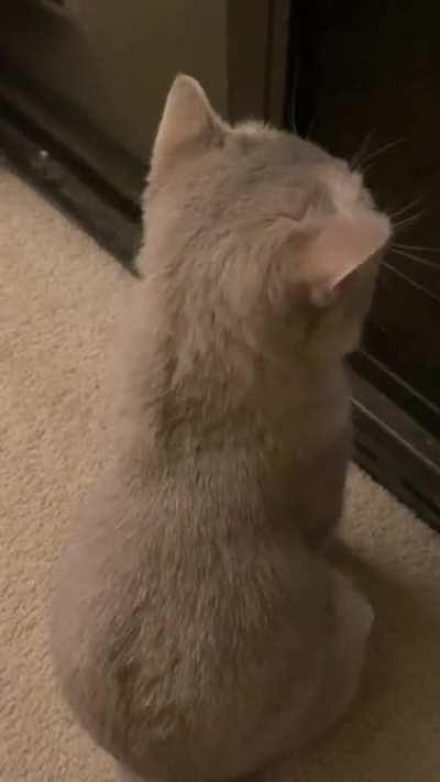 How can I gently tell him that I'm just going to pick up a delivery, not hug him?🤔