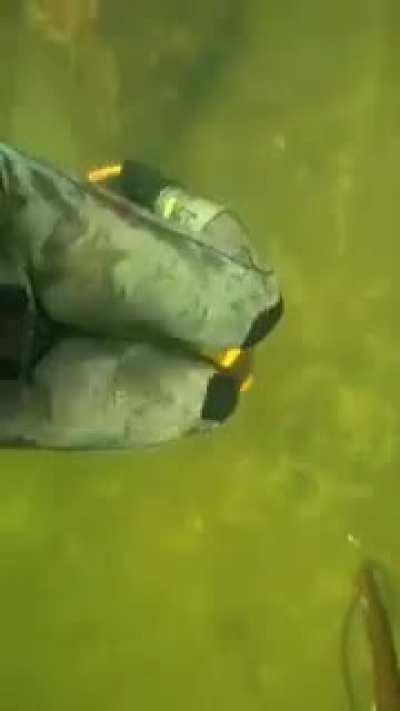 Encounter with strange worm creature