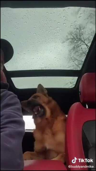 He was hanging on to every word