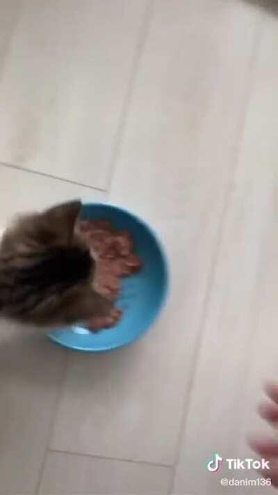 He Just Wants His Food!