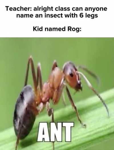 Kid named stone 🗿