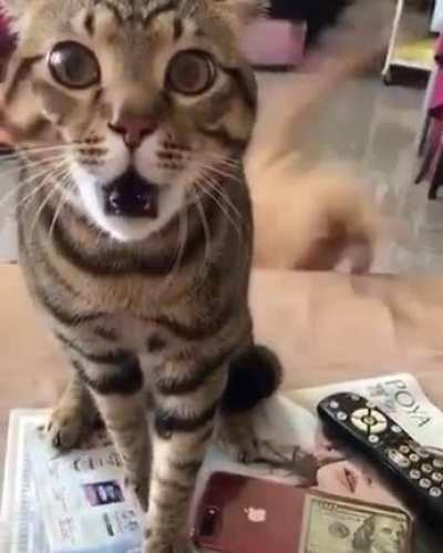 Honestly, I would be scared of her