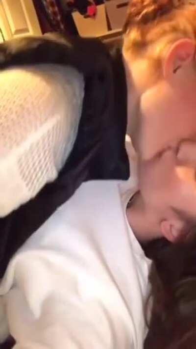 BFFs (x-post from /r/plainwhitets)