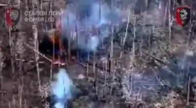 Drone footage of a Ukrainian tank attacking Russian positions in the Serebryany forest. Luhansk Oblast.