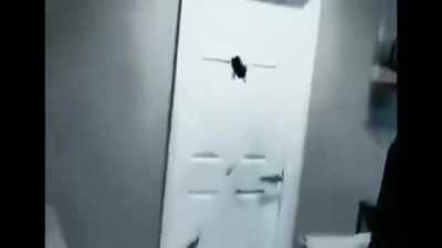 You can break my door not my confidence 