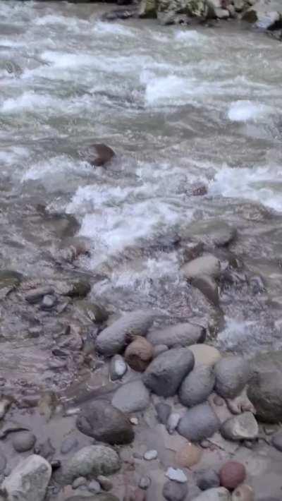 Work retreat camping trip with my husbands company and boss. My husband has no clue how many times his boss has used my throat like a pussy!