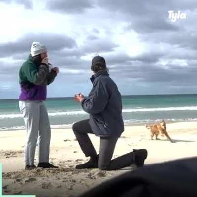 When your dog is actually more excited for you than her.