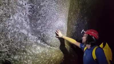 Let’s grope this record breaking spider web made by 11,500 spiders