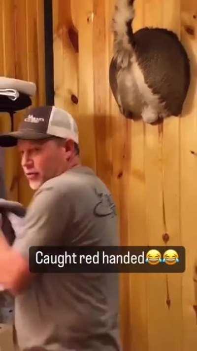 You’d do it too, you know you would.