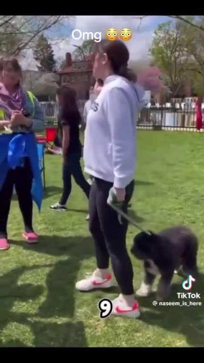 When the dog needs a walk and a lib needs a victimization fix.