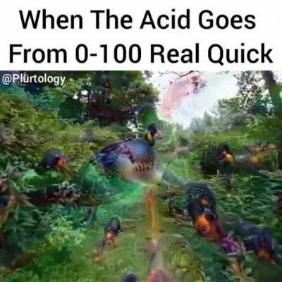 Thats one hell of a trip