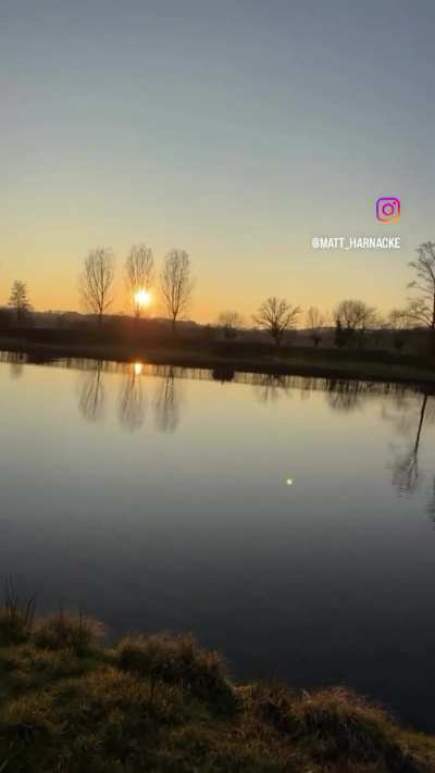 “Petah… the horse is here.”